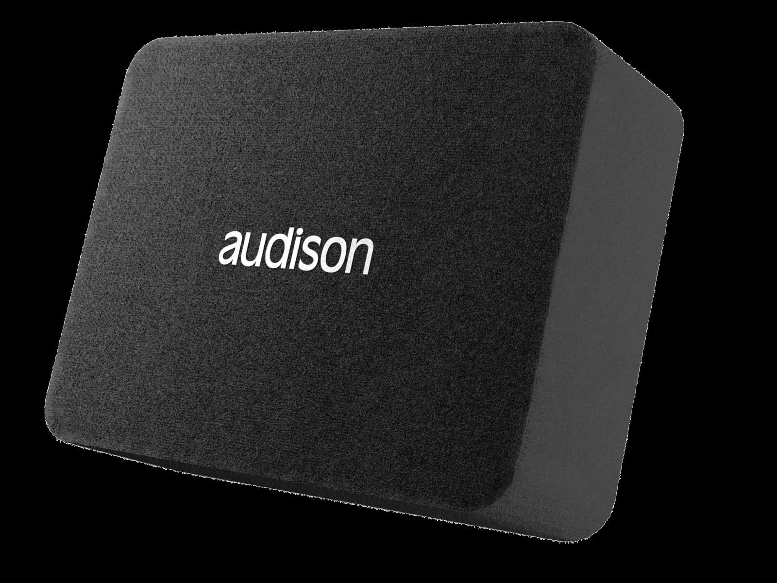 APBX10AS2 250 mm Subwoofer