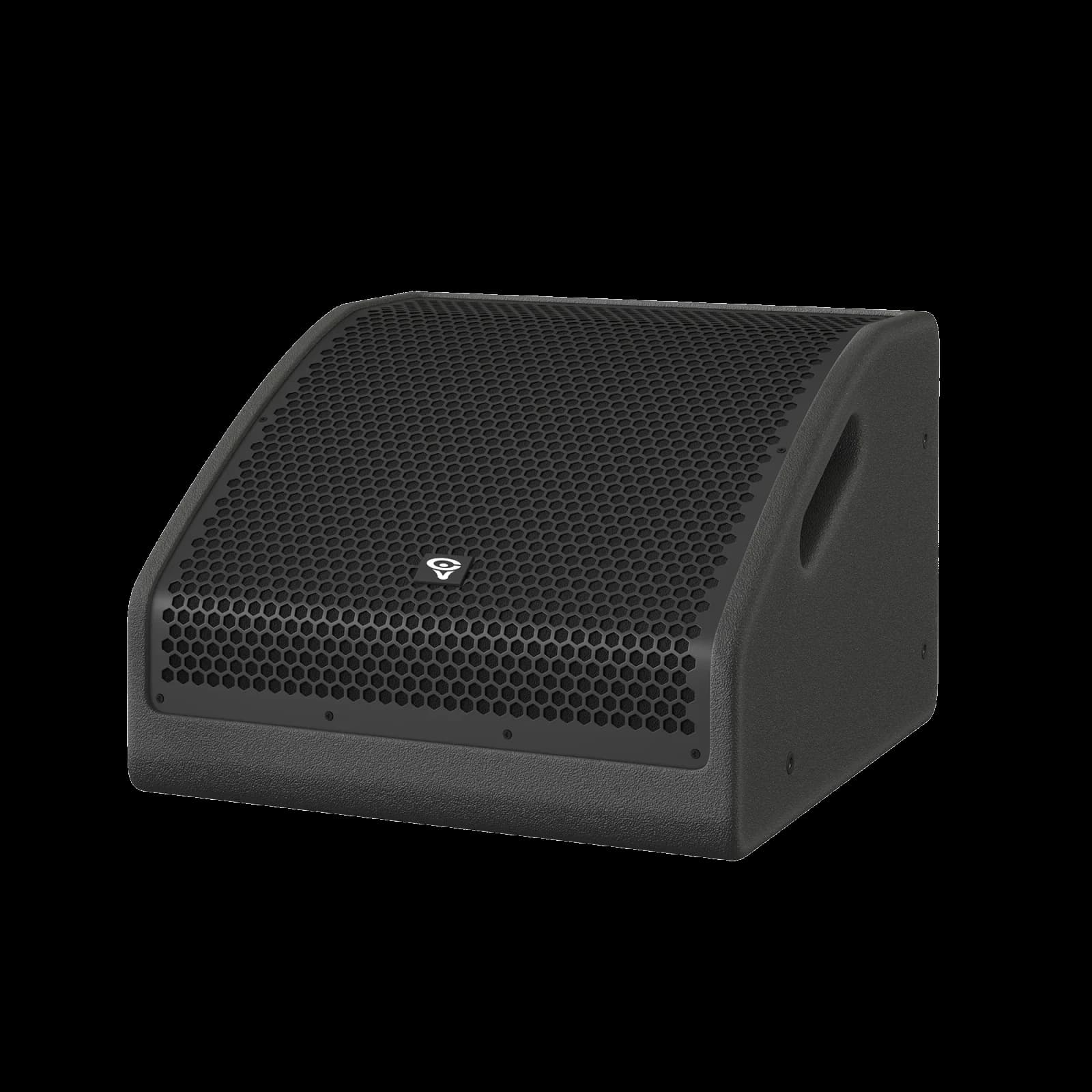 MSP12 12" 2- Way Full Range Monitor