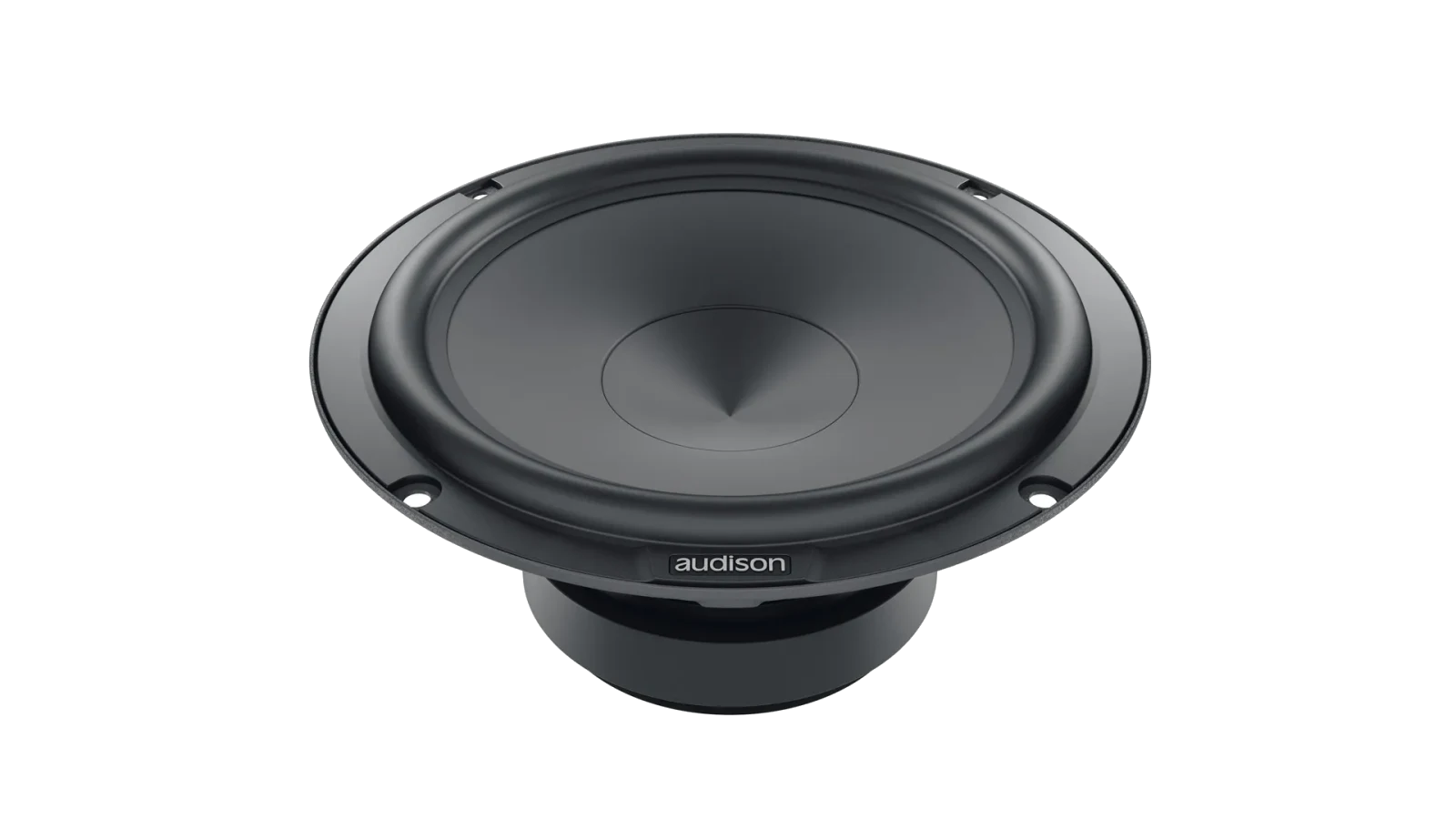AP6.5P 165 mm Woofers