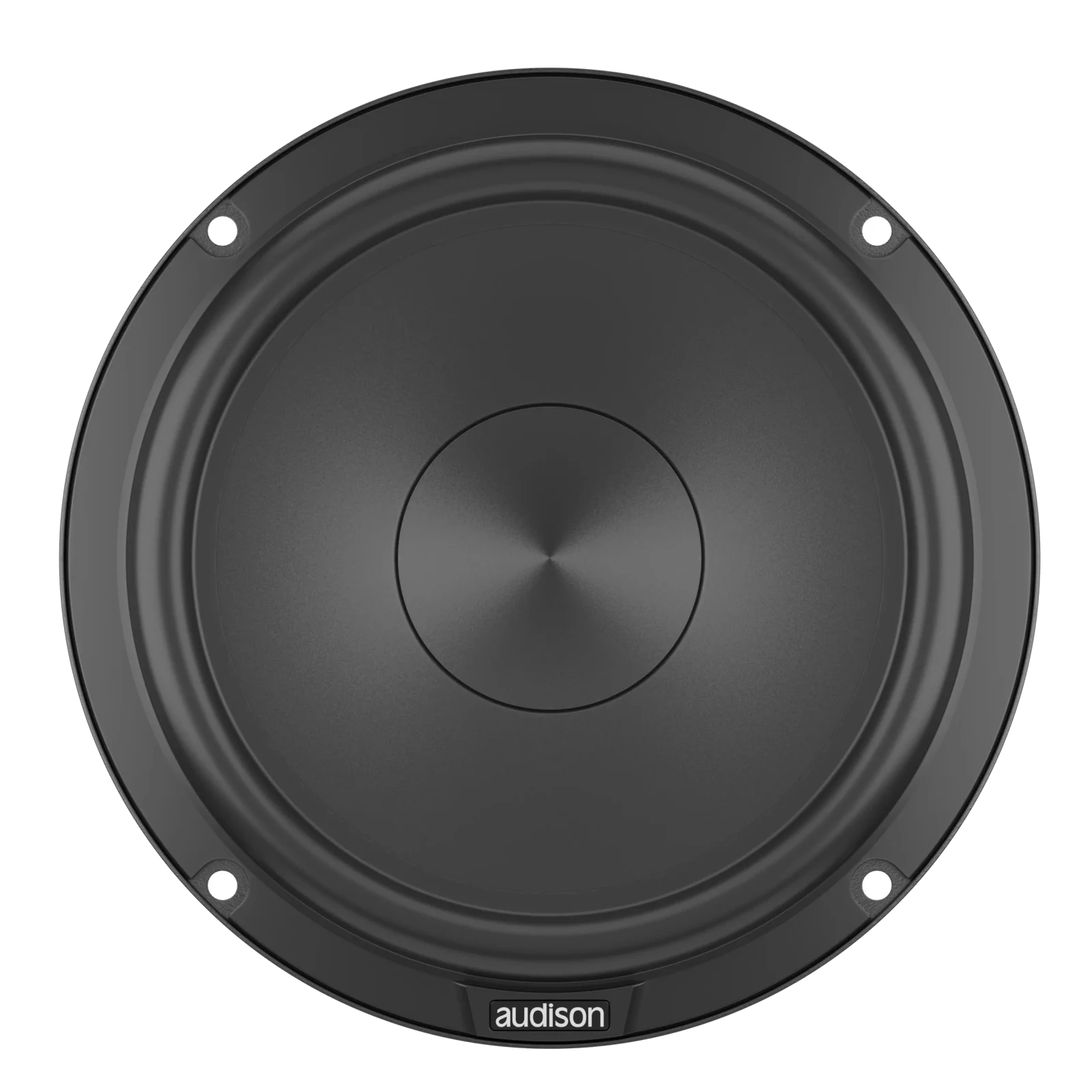 AP6.5P 165 mm Woofers