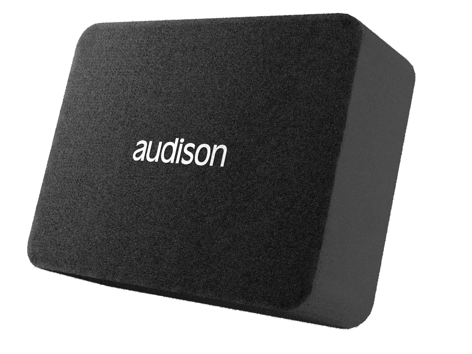 APBX10AS2 250 mm Subwoofer