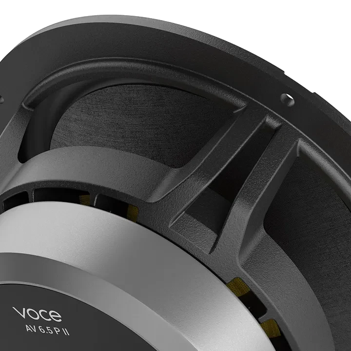 AV6.5II 165 mm (6.5 in.) Woofers