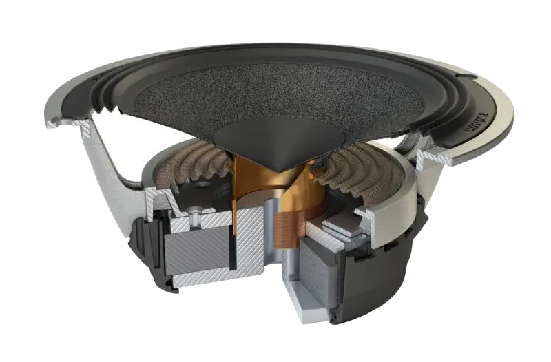 AV6.5 165 mm Woofers