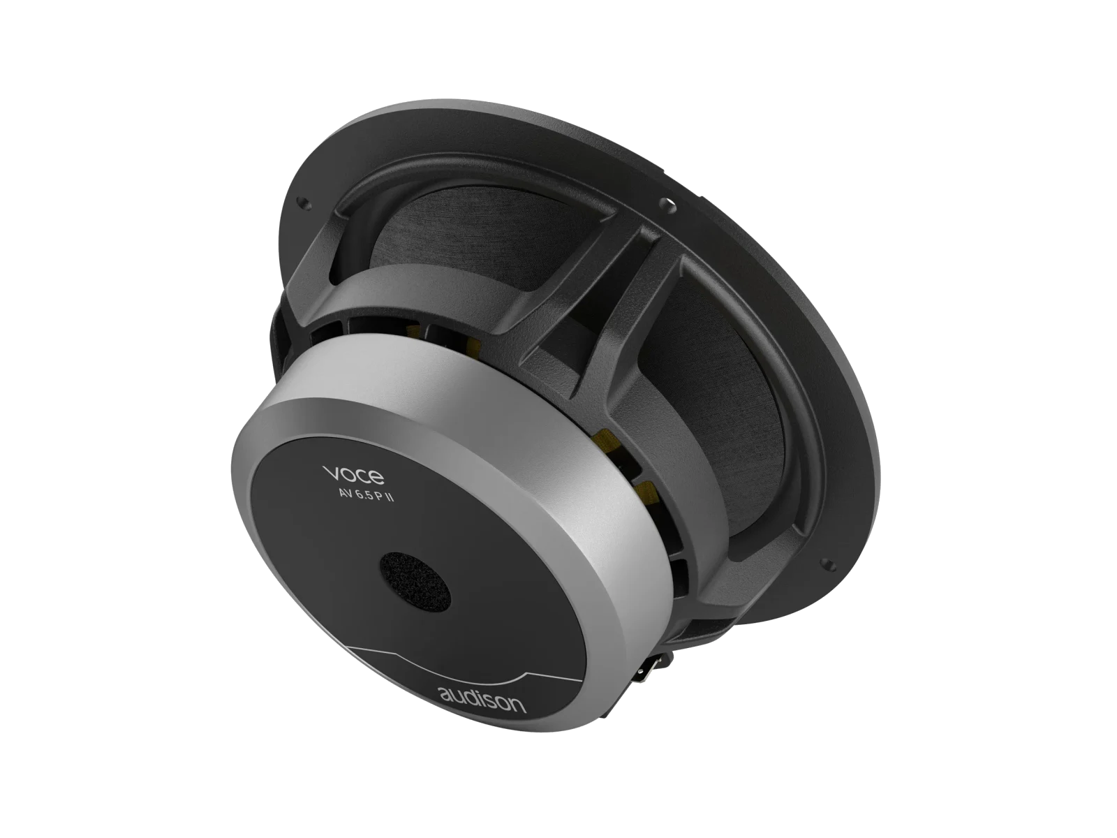 AV6.5II 165 mm (6.5 in.) Woofers