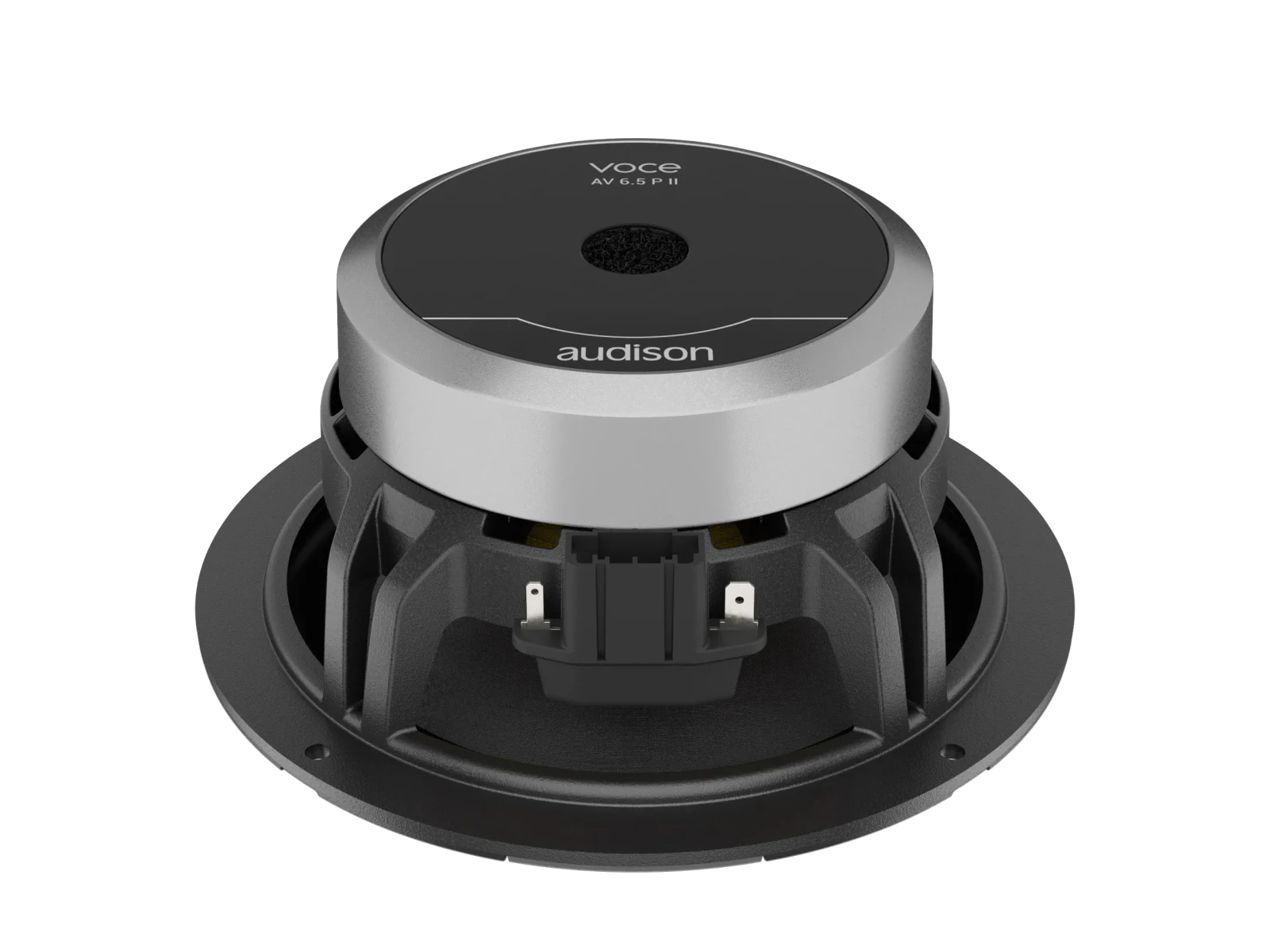 AV6.5II 165 mm (6.5 in.) Woofers