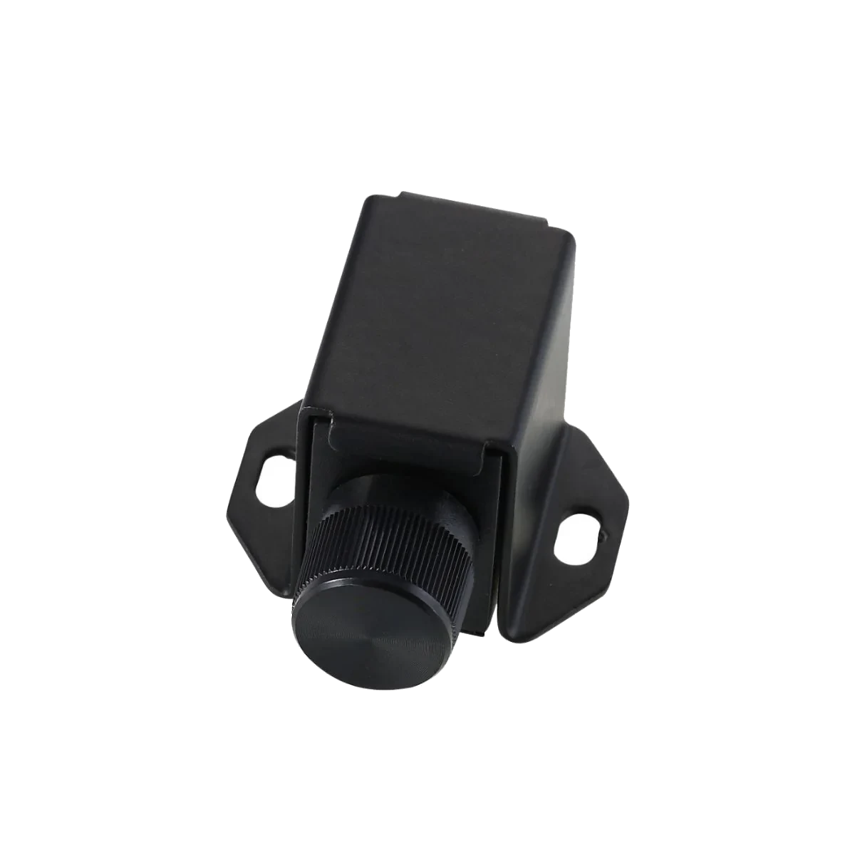 Stealth Bomber 1-Channel Class-D Mono Block Amplifier - B51