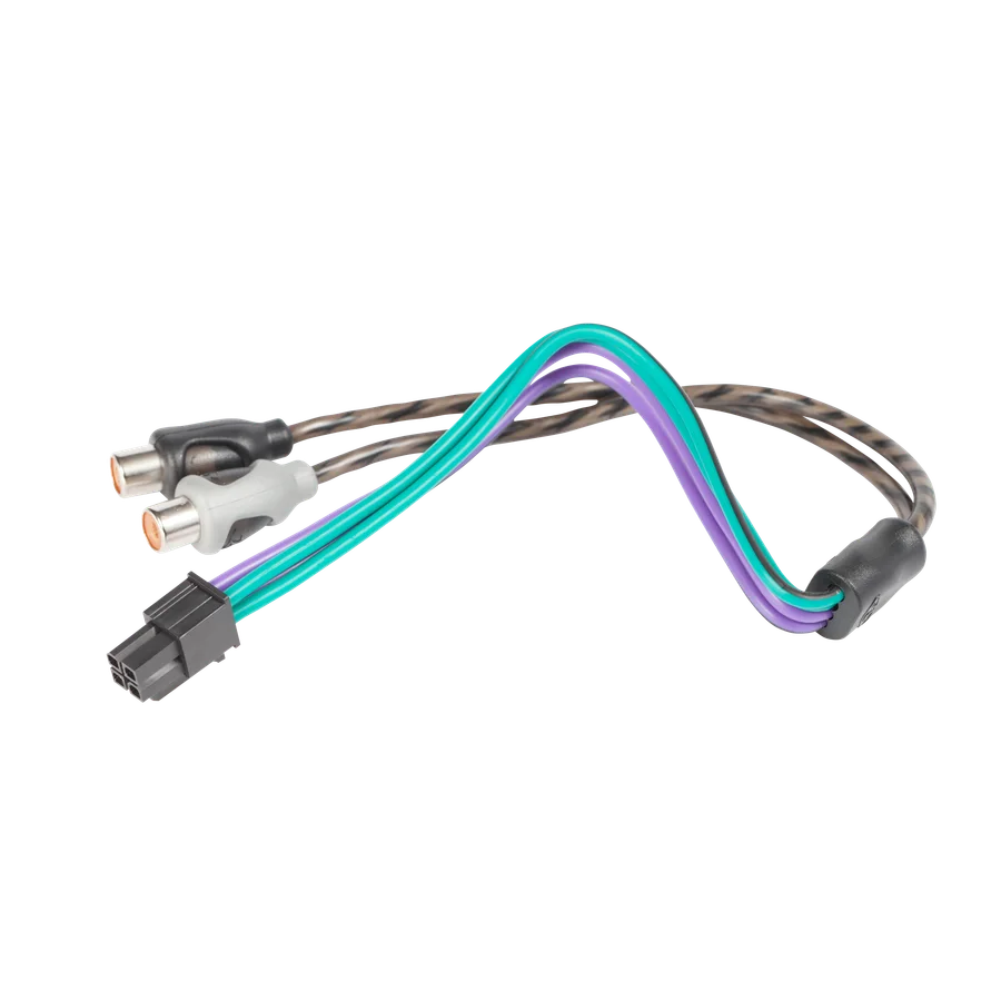 Rear Signal Input (Compact Amps)