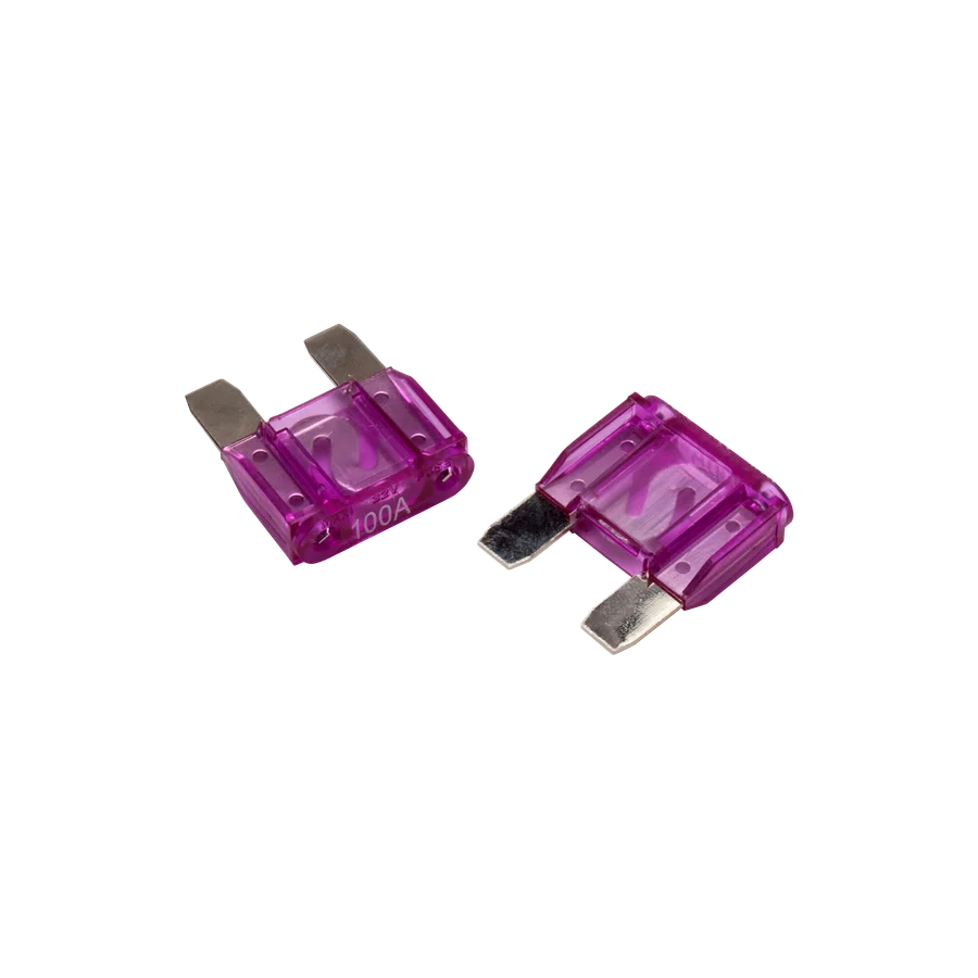 100 Amp Maxi Fuse